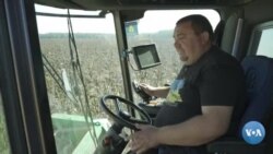 Ukraina: Urush agrosektorga qanday ta’sir qilmoqda?