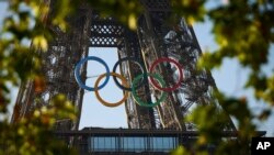 OLY Paris Olympic Rings