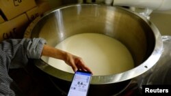 Yoshimi Terasawa, kepala produsen sake Tokyo Port Brewing, memeriksa vibrasi pada tangki di mana sebuah pengeras suara yang memutarkan musik ditempatkan di bawah tangki itu, di tempat pembuatan sake di Tokyo, Jepang, pada 9 Juli 2024. (Foto: Kim Kyung-Hoon)