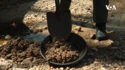 Kopači zlata iz Virdžinije