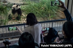 Warga melihat panda raksasa betina Xiang Xiang menjelang kepulangannya ke China, di Taman Zoologi Ueno di Tokyo pada 19 Februari 2023. (Foto: AFP/Yuichi YAMAZAKI)