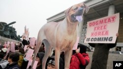 ተቃውሞ ንምብላዕ ስጋ ኣብ ደቡብ ኮርያ - ፋይል