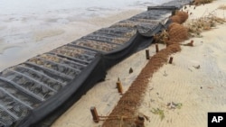Logs of coconut husk known as coir sit on the bank of the Shark River in Neptune, N.J., Jan. 31, 2023. (AP Photo/Wayne Parry)