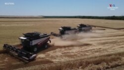 ՄԱԿ-ը Մոսկվային կոչ է անում թարմացնել Ուկրաինայի հացահատիկի համաձայնագիրը