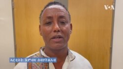 ማሕበር ስነ-ጥበባዊያን ትግራይ ዋሽንግተን ዲሲ ተመስሪቱ 