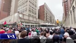 SHBA, vazhdojnë protestat kundër luftës në Gazë. Arrestohen qindra studentë 