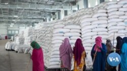 የዓለም የምግብ ፕሮግራም በትግራይ የርዳታ ምግብ ሥርጭቱን አቋረጠ