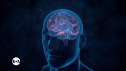 በወጣቶች ላይ የሚከሰት የሰውነት አለመታዘዝ እና የነርቮች ጉዳት