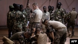 Sojojin Nijer hade da na Faransa. 