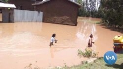 Lagi Hawaash Guutee Naannootti Danbali’uun Namoota 4,400 Ol Manaa fi Qehee Isaaniirraa Buqqaase  