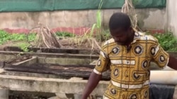 Côte d'Ivoire : la pollution de la lagune Ebrié menace l'environnement et la santé