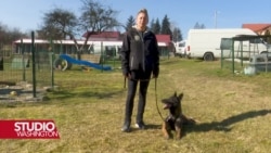 Instruktori iz BiH obučavat će ukrajinske deminere za rad sa psima koji prolaze treninge u centru kod Sarajeva