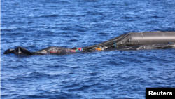 عکس آرشیوی - مربوط به ۳۰ مارس ۲۰۱۸ در سواحل لیبی 