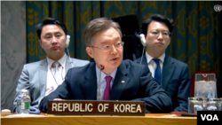 황준국 주유엔 한국 대사 