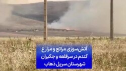 آتش‌سوزی مراتع و مزارع گندم در سرقلعه و جگیران شهرستان سرپل ذهاب 