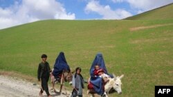 বোরকা পরা আফগান নারীরা তাদের শিশুসহ বাদাখশান প্রদেশের শাহমারি গ্রামের কাছে গাধার পিঠে চড়ে যাচ্ছেন। মে ১,২০২৪। 