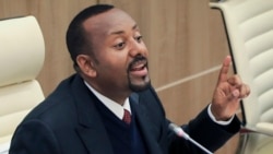 የጠቅላይ ሚኒስትር ዐቢይ አሕመድ ንግግር እና የባለሞያዎች አስተያየት