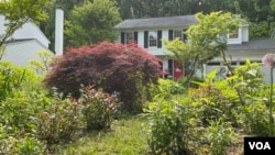 Janet and Jeffrey Crouch battled their homeowner's association for the right to keep their garden full of native plants rather than replacing them with grass, Columbia, Maryland, May 10, 2023. (VOA)