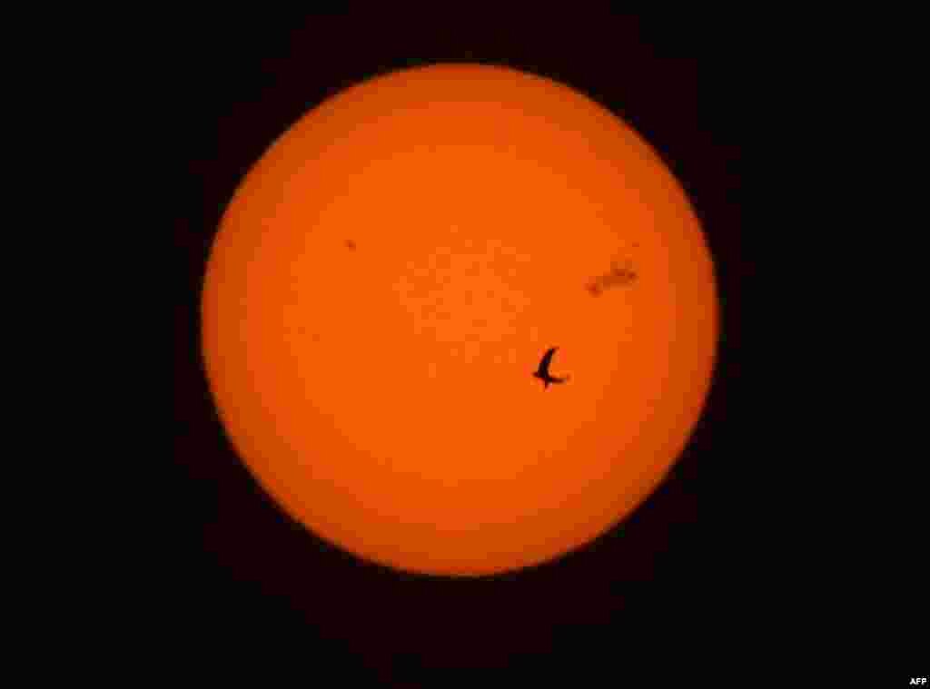 A pigeon flies in front of the sun with visible sunspot AR3664, top right, as it rises over Kuwait City.