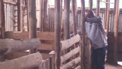 Réintégration difficile pour les ex-combattants des FDLR au Rwanda 