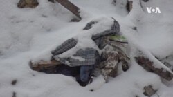 Kako se Poljska nosi sa ruskom agresijom u Ukrajini?