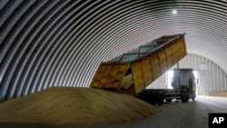 FILE - A dump track unloads grain in a granary in the village of Zghurivka, Ukraine, on Aug. 9, 2022. Ukraine, Poland and Lithuania have agreed on a plan they hope will help expedite Ukrainian grain exports, officials said on Oct. 3, 2023.
