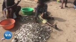  Des pêcheurs angolais en difficulté accusent la pêche illégale chinoise