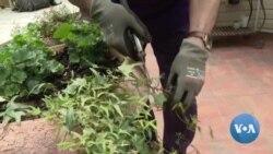 Biowearables: People Wearing Devices Can Monitor Their Health Anytime