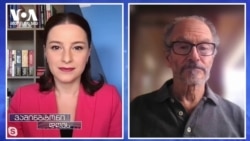 ფრიდი: "აშშ რომელიმე ქართულ პარტიას ჯიბეში არ უზის"