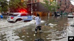A man stands in floodwater as he works to clear a drain in the Brooklyn borough of New York, Sept. 29, 2023. 