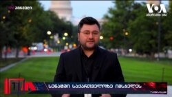 როგორ აღასრულებს საქართველო სანქციებს - მოსმენა სენატში