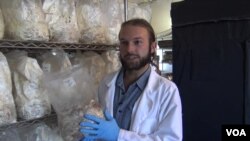 แซค เฮดสตอร์ม ผู้ก่อตั้ง Boulder Mushroom