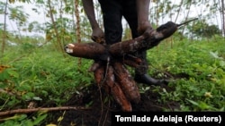 SUPPLY-CHAIN/UNILEVER-AFRICA