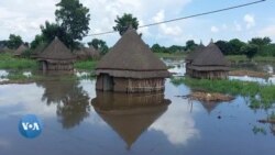 Naannoo Gambeellaa Aanaalee Lama Keessaa Namoonni Kuma Shanii Ol Balaa Lolaatiin Manaa fi Qehee Ofiirraa Buqqa’an 