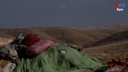 របាយការណ៍អ.ស.ប ថាការវាយប្រហារដោយអ្នកតាំងលំនៅជ្វីហ្វលើជនជាតិប៉ាឡេស្ទីន កើនឡើង