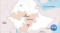 Wal-dhibdeen Caaseffamaa Haaraadhan Walqabatee Godina Gujiitti Ka'e Ammallee Furmaata Hin Arganne: Jiraattota