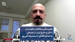 همبستگی مخالفان حکومت در داخل و خارج ایران در اعتراض به اعدام؛ گفتگو با حمیدرضا تقی‌پور