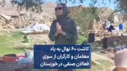 کاشت ۶۰ نهال به یاد معلمان و کارگران از سوی فعالان صنفی در خوزستان