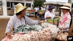 រូបឯកសារ៖ អ្នកលក់ណែមតាមផ្លូវនៅខេត្តបាត់ដំបង ថ្ងៃទី៣០ ខែសីហា ឆ្នាំ២០១០។