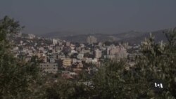 Olive Harvest in West Bank Caught in Crossfire Between Jewish Settlers, Palestinians 