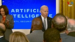 អ្នក​ជំនាញ​​ថ្លឹងថ្លែង​ពី​បទបញ្ជា​ប្រតិបត្តិ​របស់​លោក​ Biden ​លើ​​បញ្ញា​សិប្បនិម្មិត