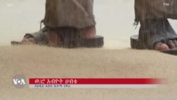 ቋሚ ወርኃዊ ደመወዝተኞችን ለሚፈትነው የዋጋ ንረት ዘላቂ ቁጥጥር ወይስ የደመወዝ ጭማሬ?