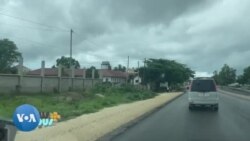 A la découverte du Baraka Aquarium à Zanzibar