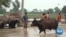 Heavy Rains in India Flood Pakistani Riverside Villages 