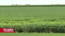 Neizvjesnost američke poljoprivrede: Rat u inostranstvu, suša kod kuće