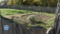 የምስጋና ቀን አፈ ታሪኮች