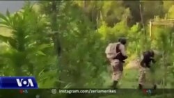 Dhuna në familje dhe narkotikët, shqetësime kryesore për policinë