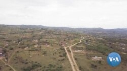 Snakebite Risk Worsens in Eswatini Because of Antivenom Scarcity 