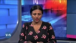 Guyyaa Filannoo ‘Super Tuesday’ Irratti Lammiileen Ameerikaa Miliyoonaan Lakkaawaman Har’a Sagalee Kennaa Oolan