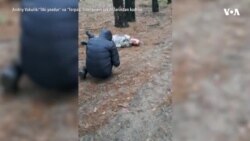 Müharibə şəraitində olan Ukrayna kinosunun üzləşdiyi çətinliklər